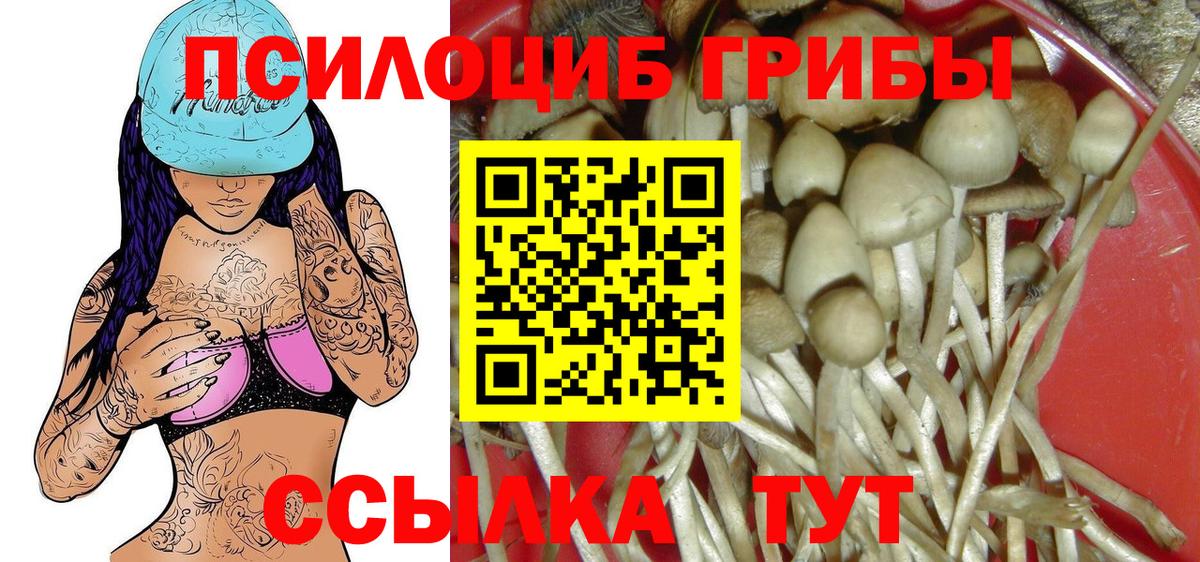 Псилоцибиновые грибы MAGIC MUSHROOMS  Вход с VPN  Миллерово 